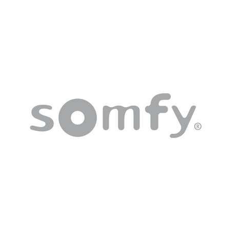 compatible con Somfy Home y Somfy One Somfy 2401489 Keyfob Protect One+ controla de forma inteligente tu alarma Somfy Protect Mando a distancia